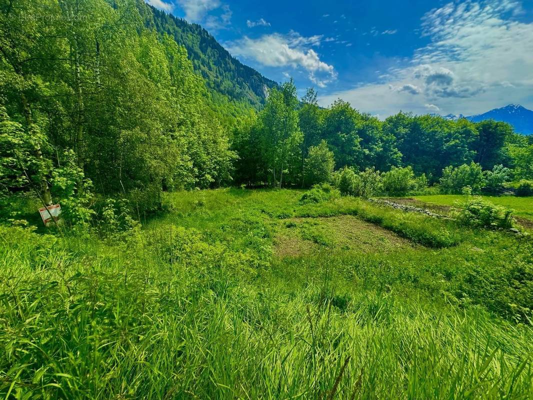 Terrain à VAUJANY