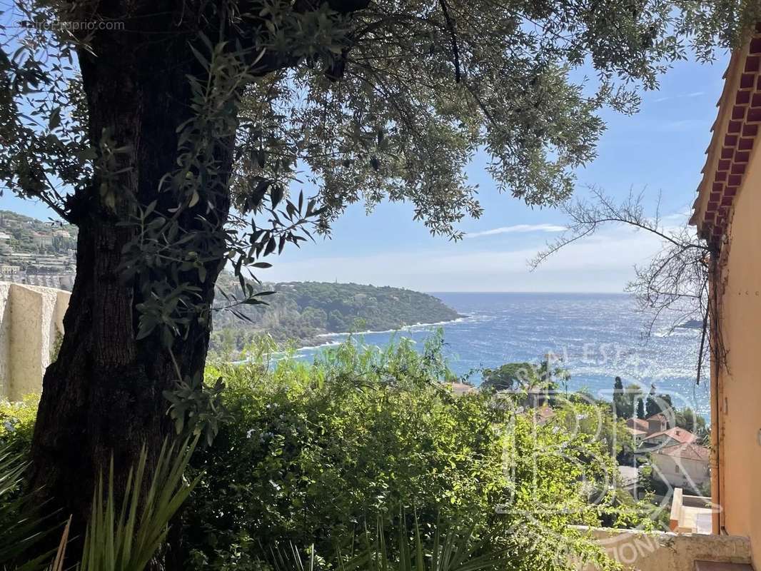 Maison à ROQUEBRUNE-CAP-MARTIN