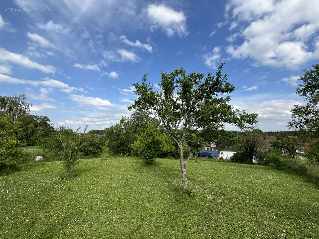 Terrain à SAVERNE