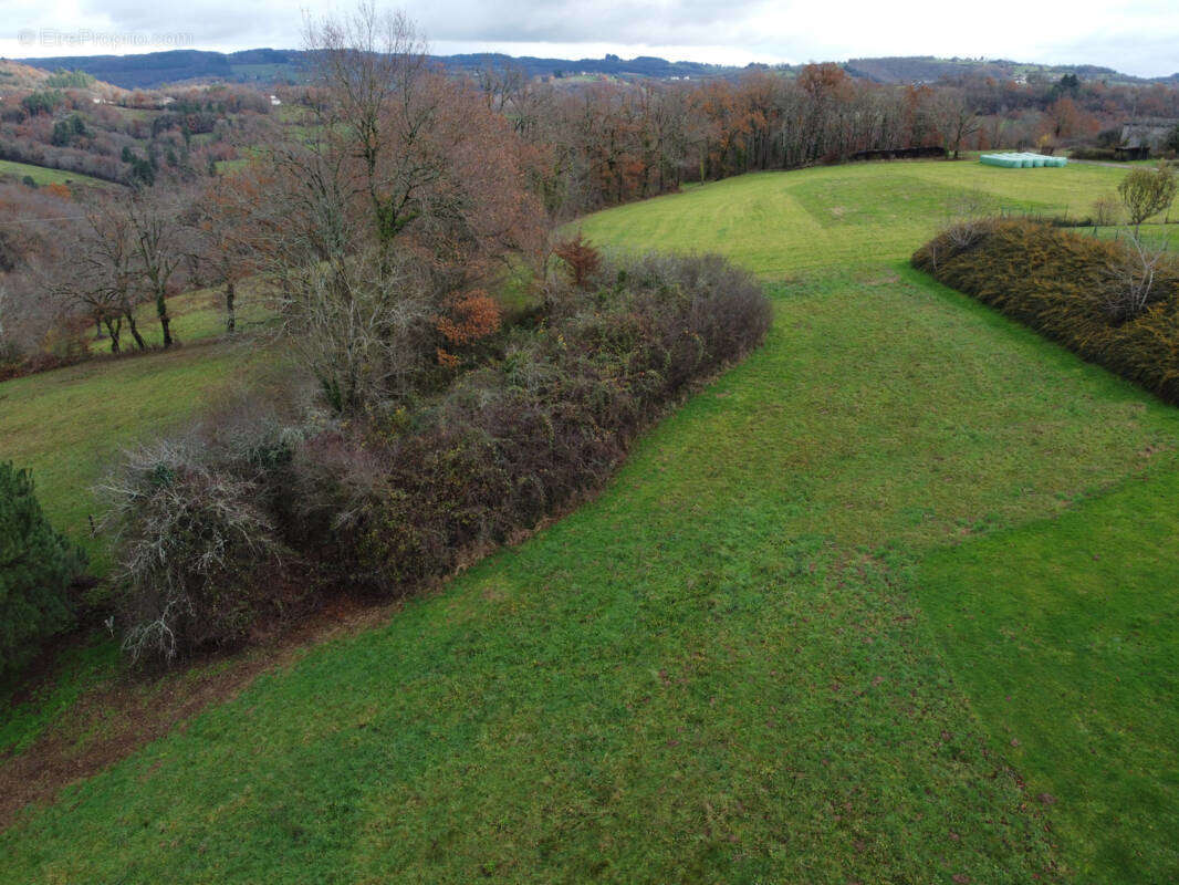 Terrain à LA CHAPELLE-AUX-BROCS