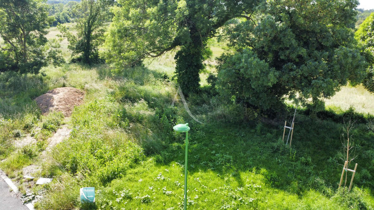 Terrain à SAINT-VINCENT-SUR-JARD