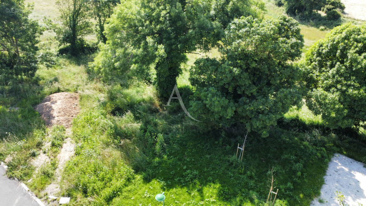 Terrain à SAINT-VINCENT-SUR-JARD