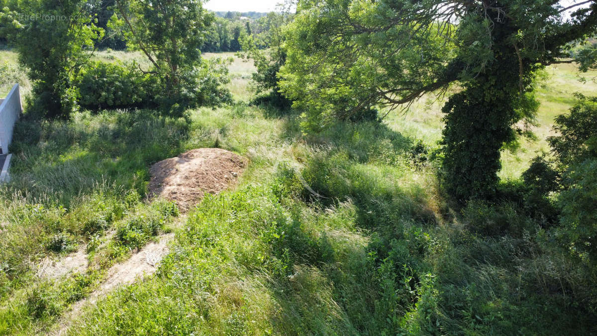 Terrain à SAINT-VINCENT-SUR-JARD