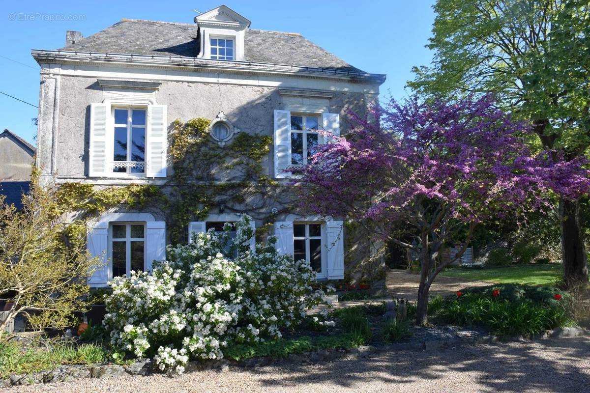 Maison à ANGERS