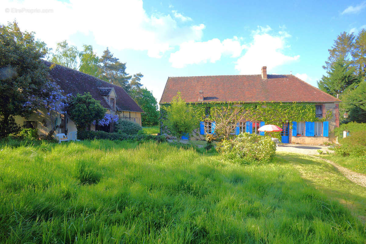 Maison à AILLANT-SUR-THOLON