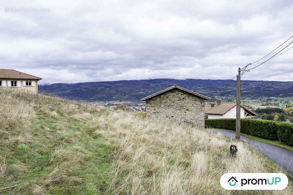 Terrain à AMBERT