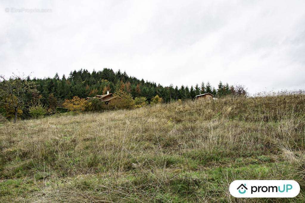 Terrain à AMBERT