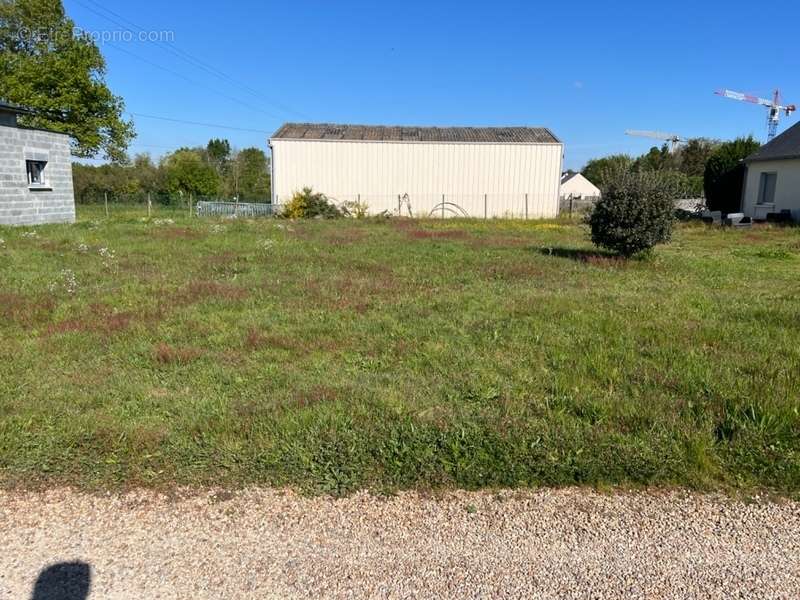 Terrain à MONTREUIL-SUR-LOIR