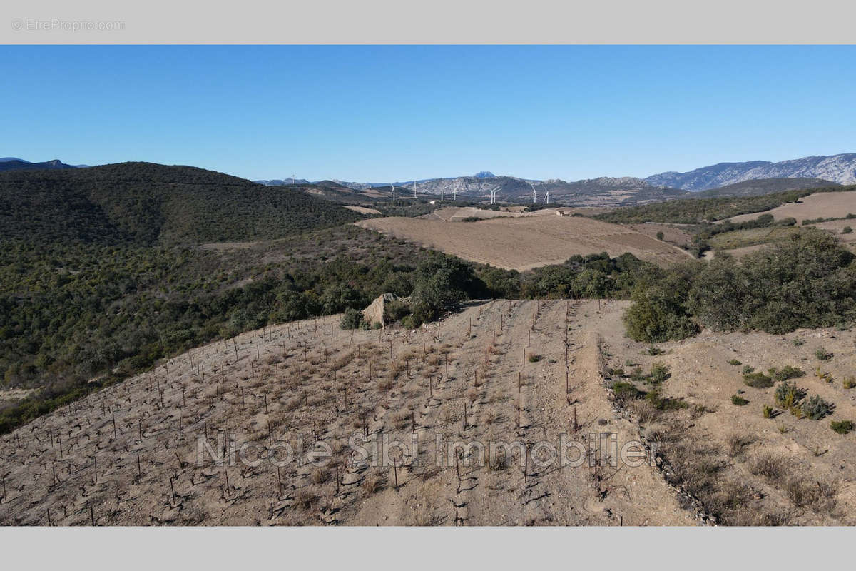 Terrain à RASIGUERES