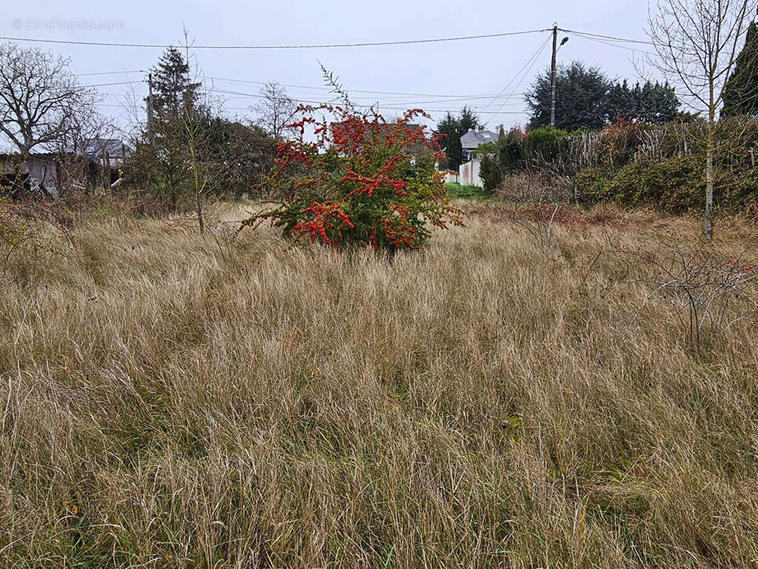 Terrain à MONTLOUIS-SUR-LOIRE