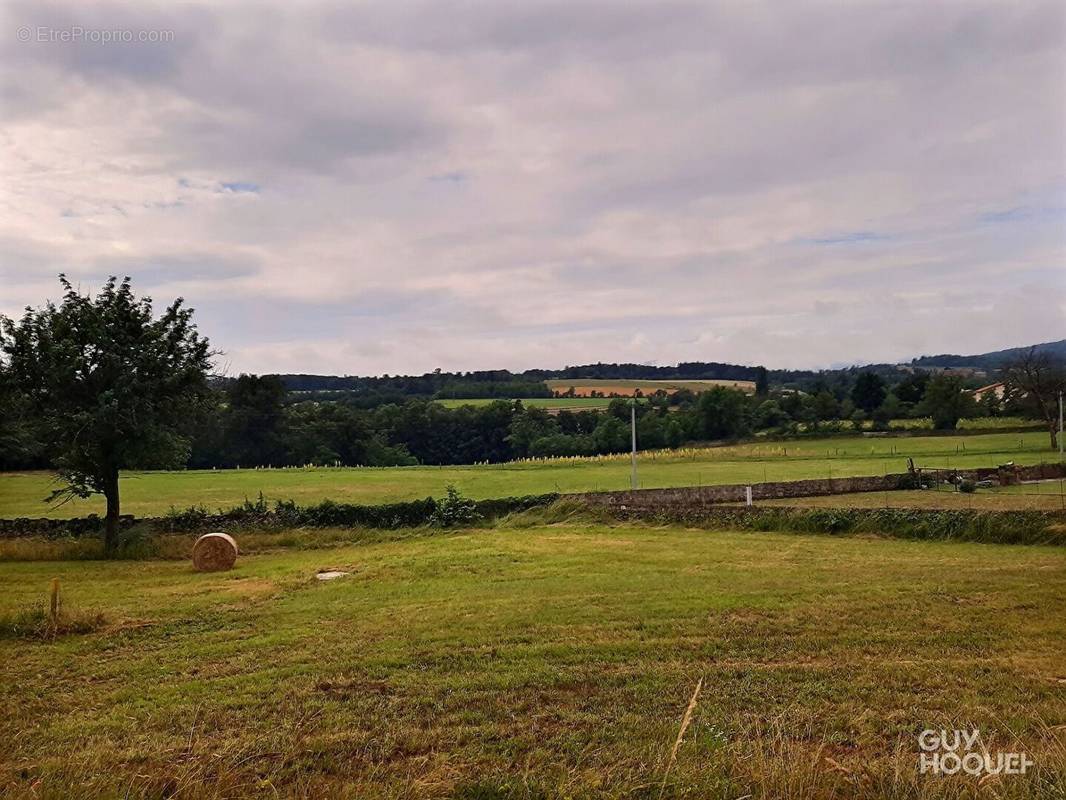 Terrain à ROIFFIEUX