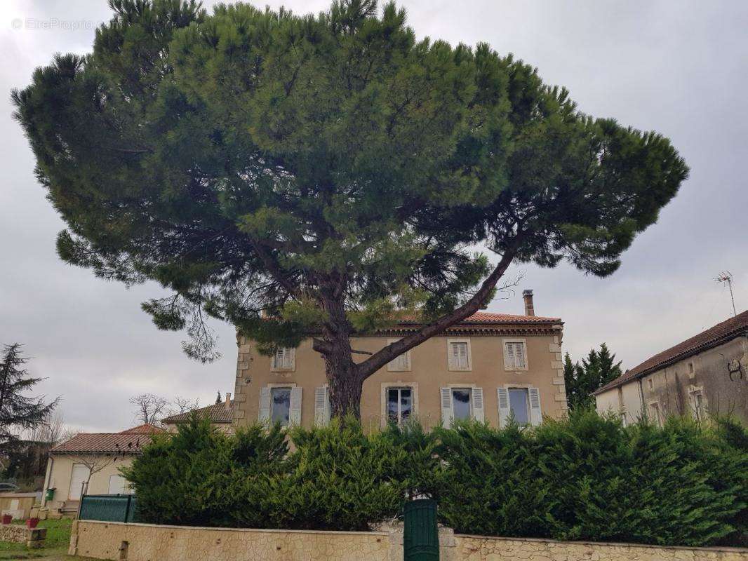 Maison à LECTOURE