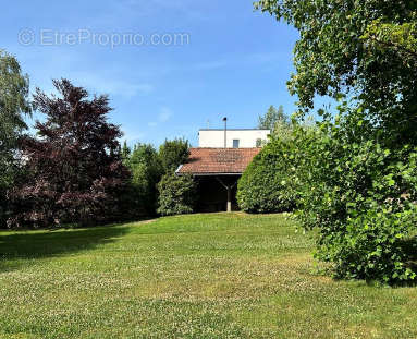 Appartement à SAINT-GERMAIN-AU-MONT-D&#039;OR