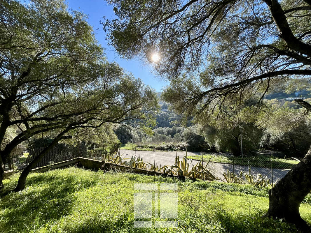 Terrain à AJACCIO