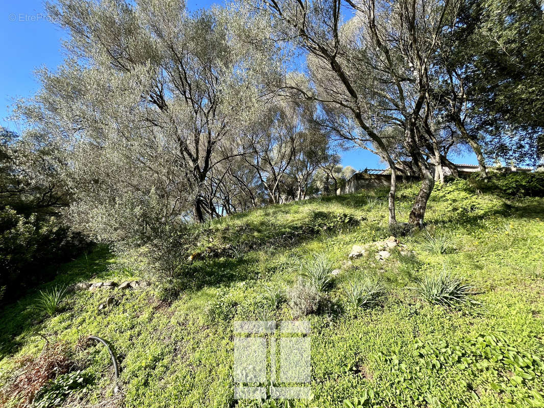 Terrain à AJACCIO