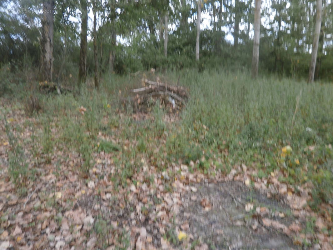 Terrain à SAINT-GEORGES-SUR-LA-PREE