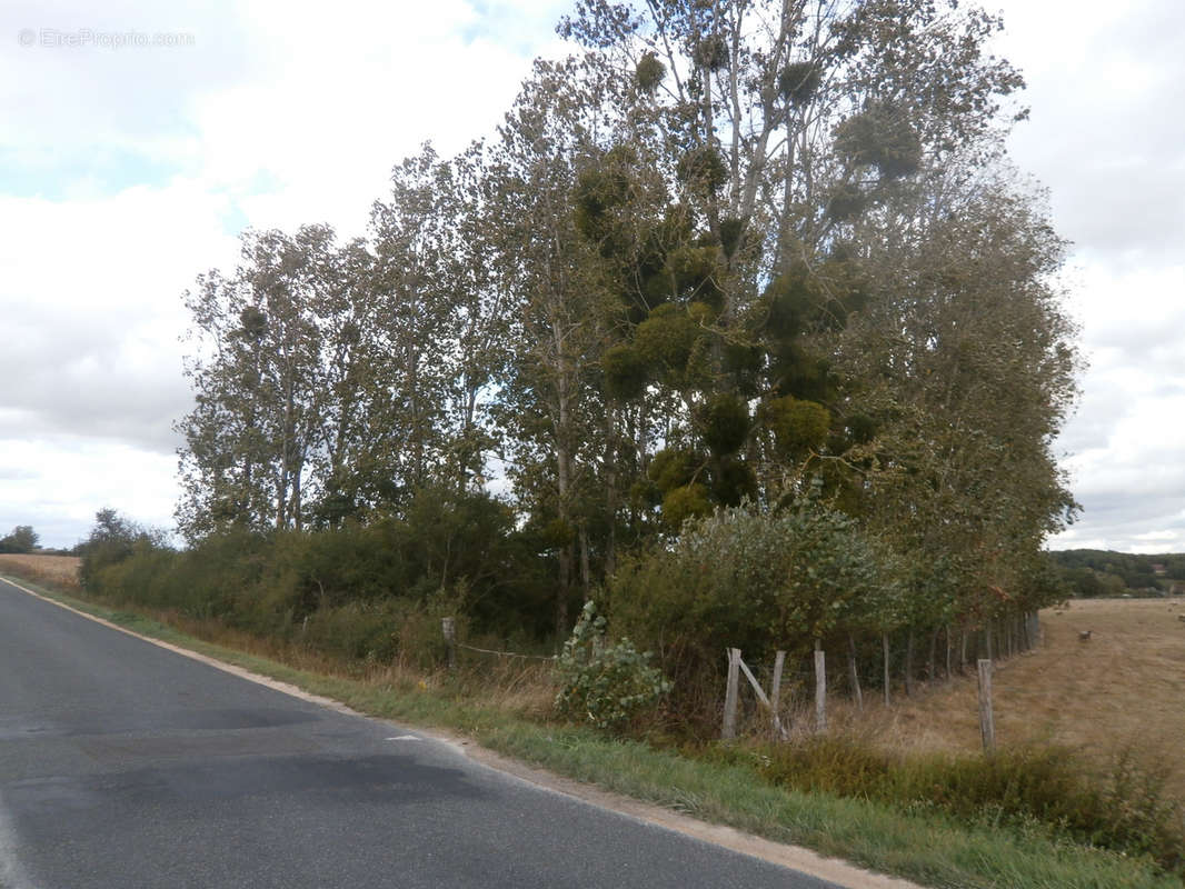 Terrain à SAINT-GEORGES-SUR-LA-PREE