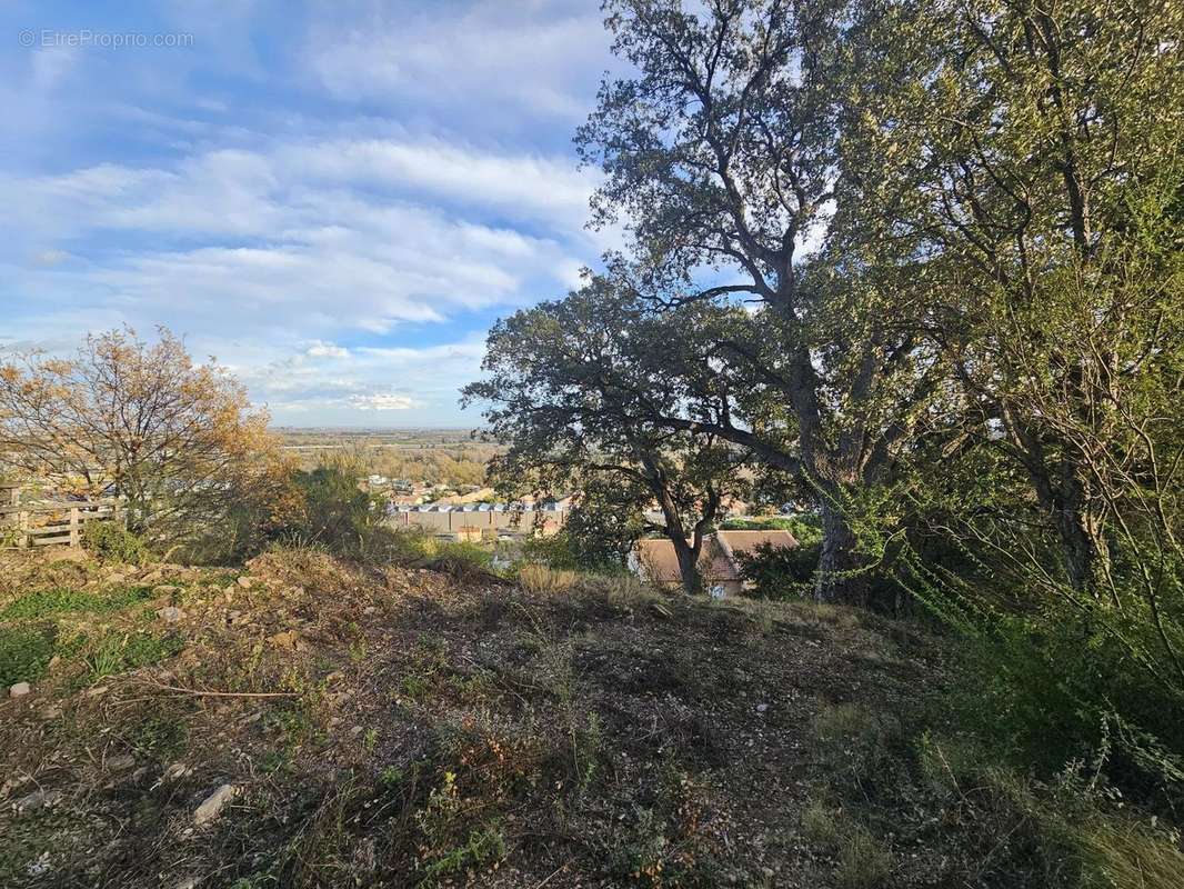 Terrain à LUCCIANA