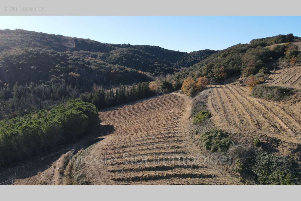 Terrain à RASIGUERES