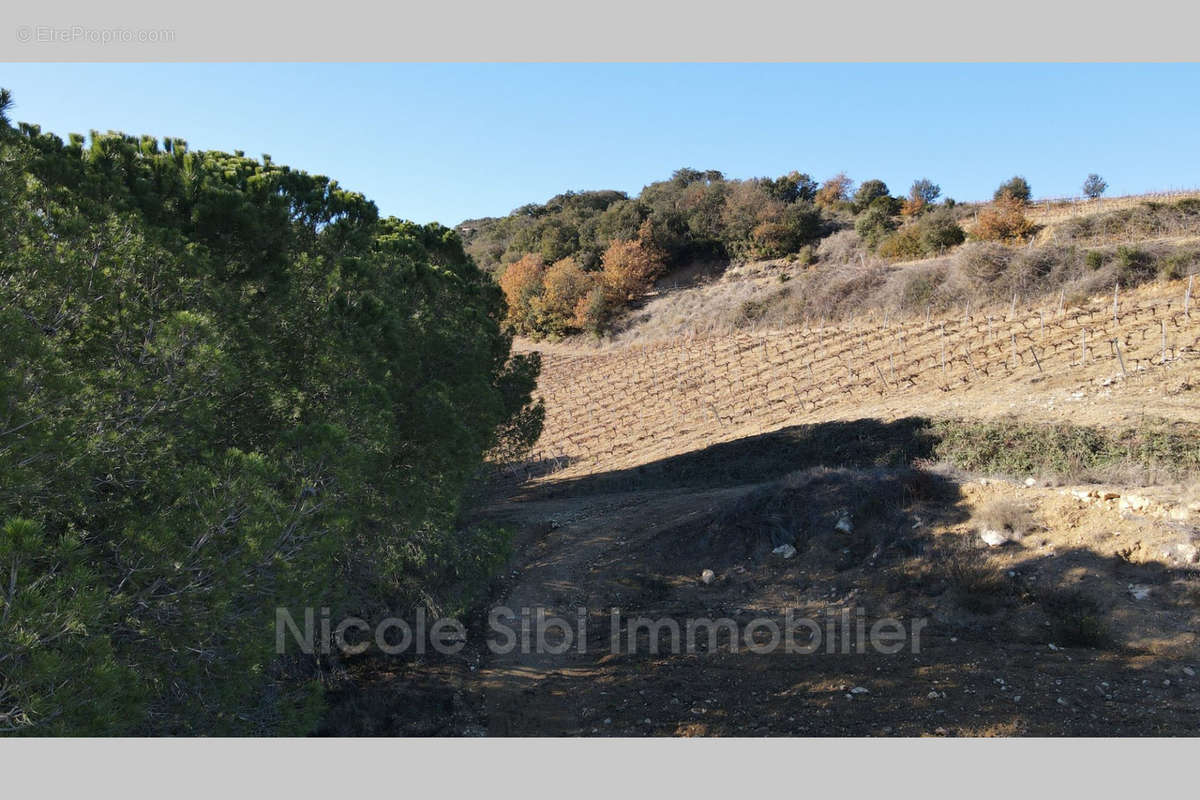 Terrain à RASIGUERES