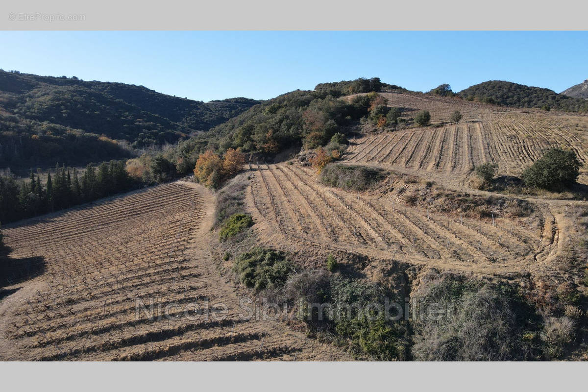 Terrain à RASIGUERES