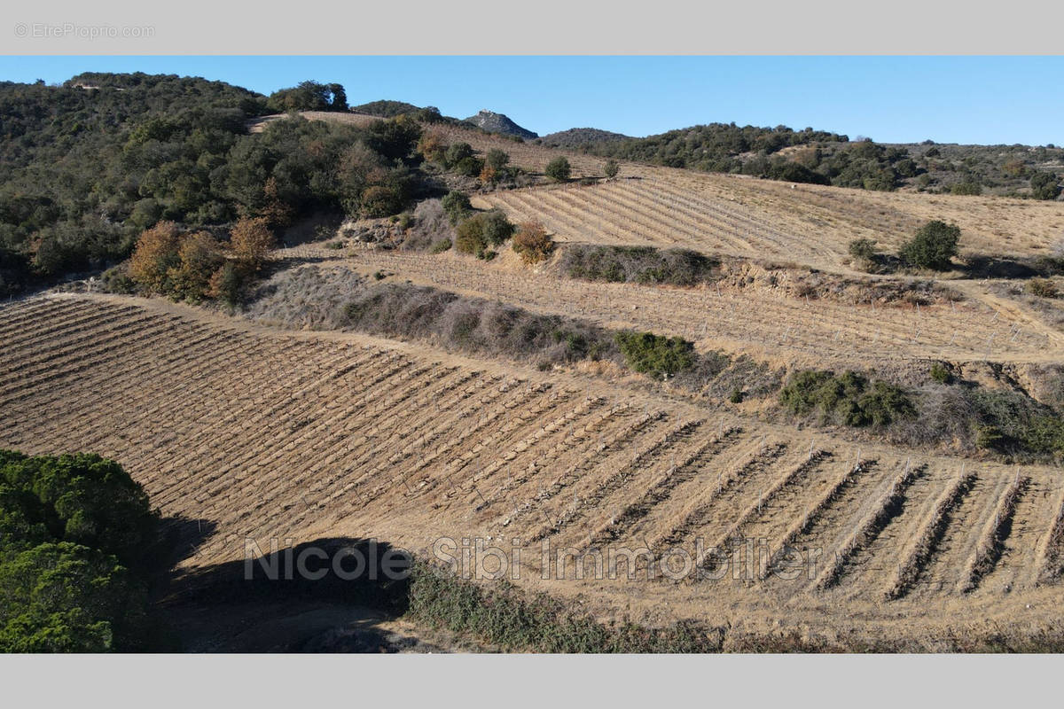 Terrain à RASIGUERES