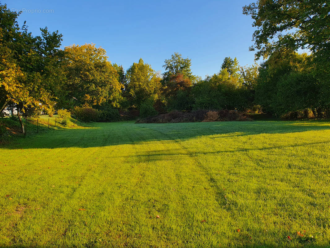 Terrain à SIGNY-LE-PETIT