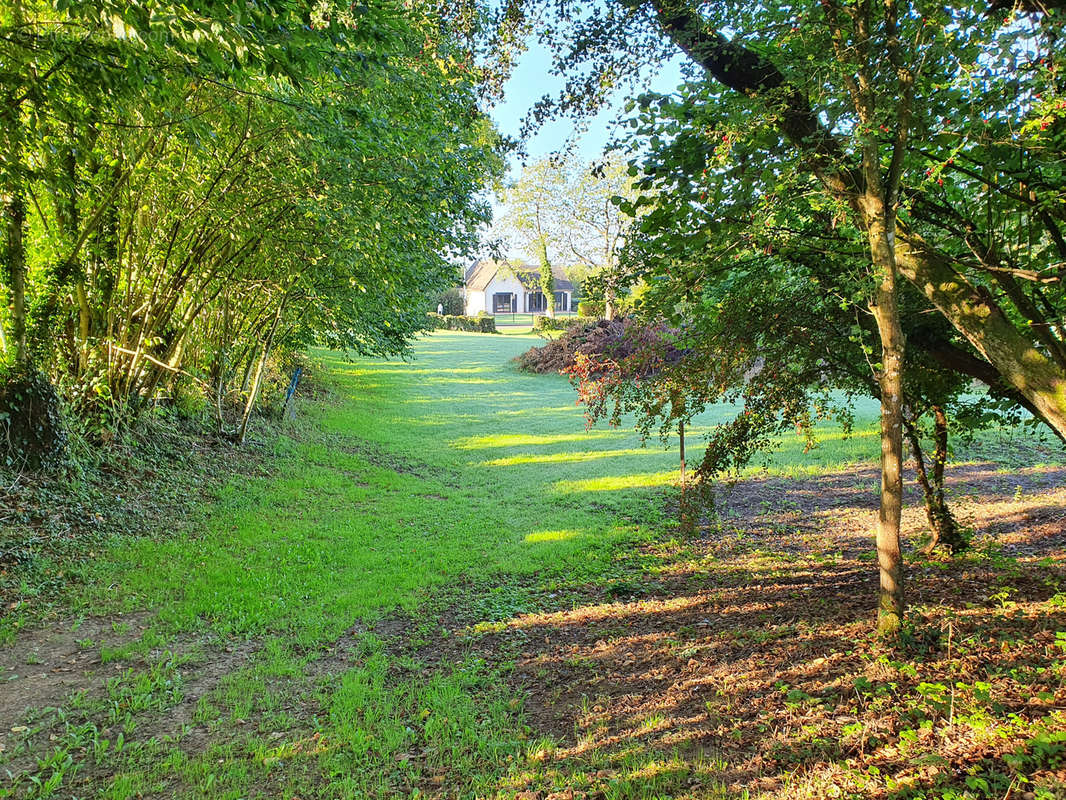 Terrain à SIGNY-LE-PETIT