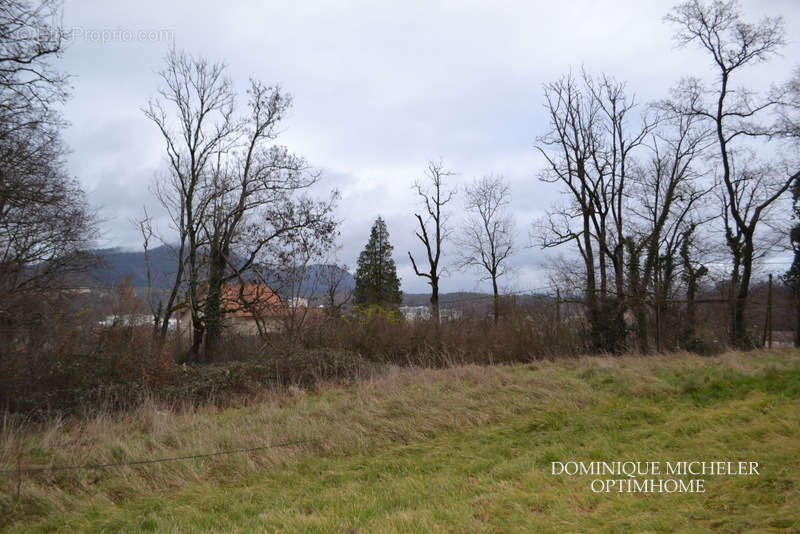 Terrain à SAINT-DIE-DES-VOSGES