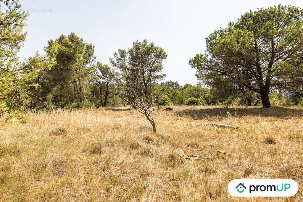 Terrain à MALVES-EN-MINERVOIS