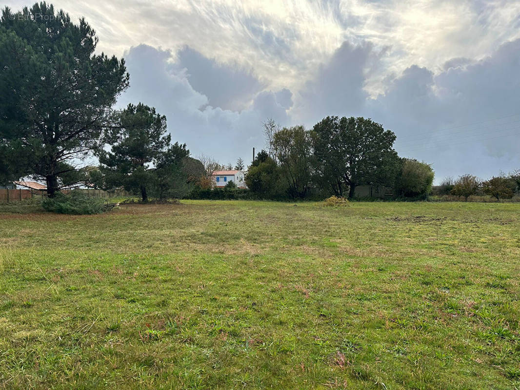 Terrain à SAINT-HILAIRE-DE-RIEZ