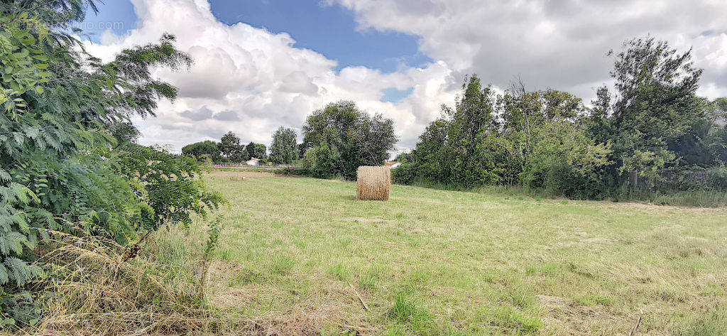 Terrain à NOTRE-DAME-DE-RIEZ