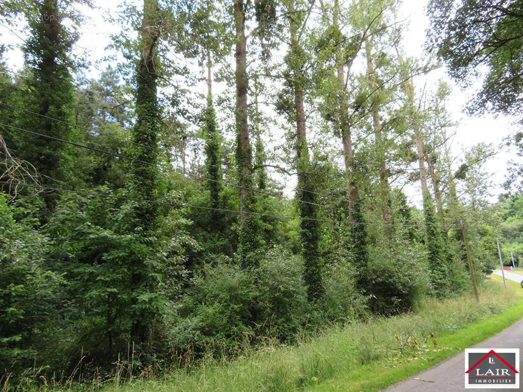 Terrain à JAVRON-LES-CHAPELLES