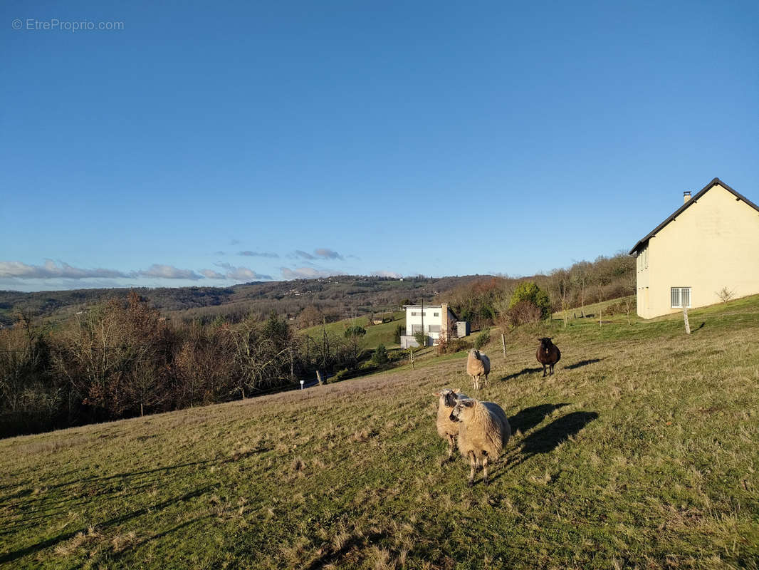 Terrain à JUILLAC