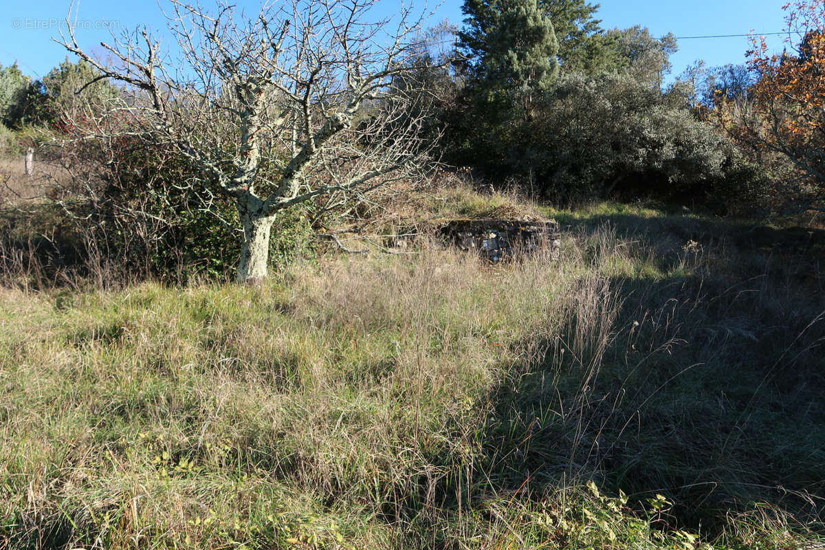 Terrain à AUBENAS