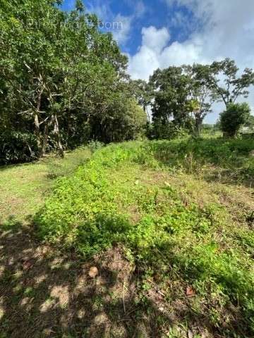 Terrain à LE MORNE-ROUGE