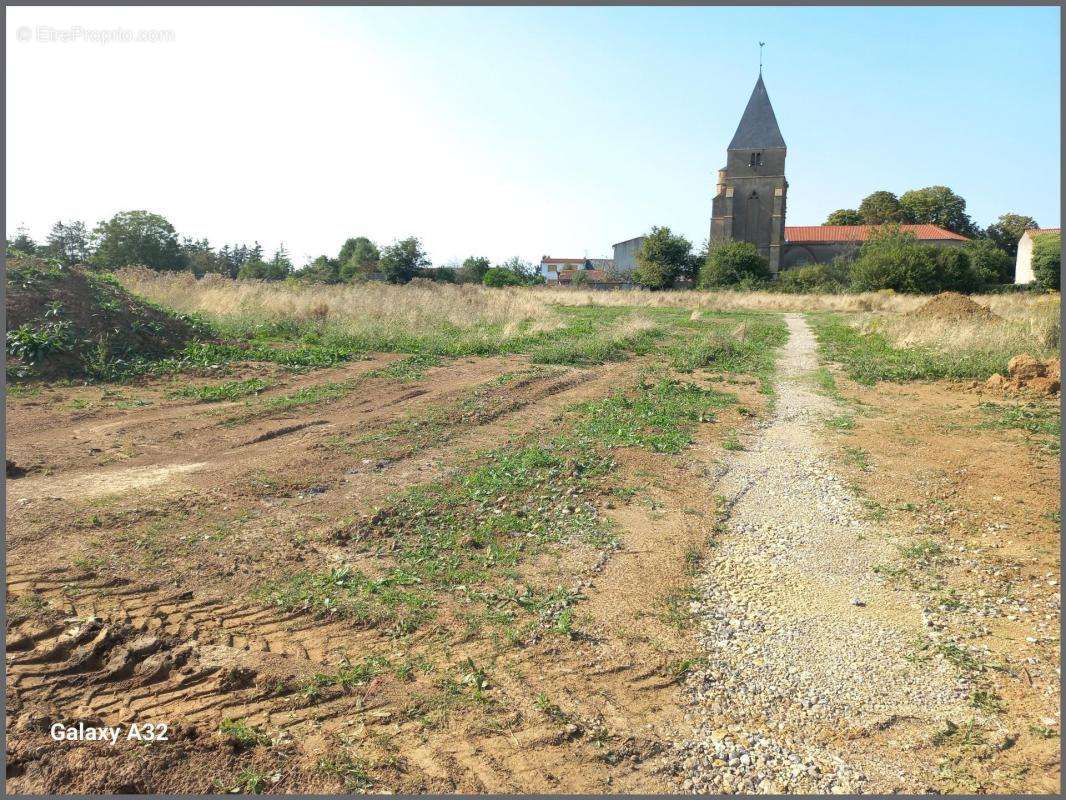 Terrain à SAINTE-BARBE