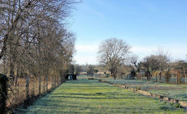 jardin 1 - Maison à AUNAC