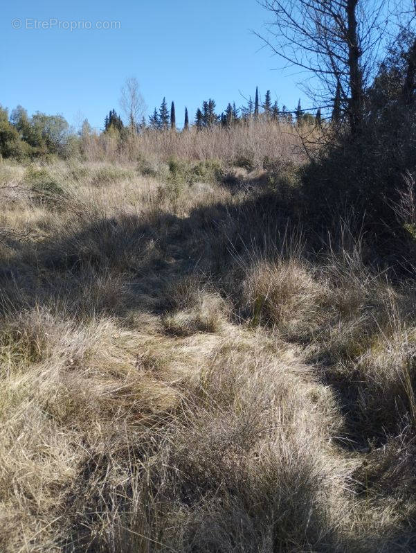 Terrain à MONTARNAUD