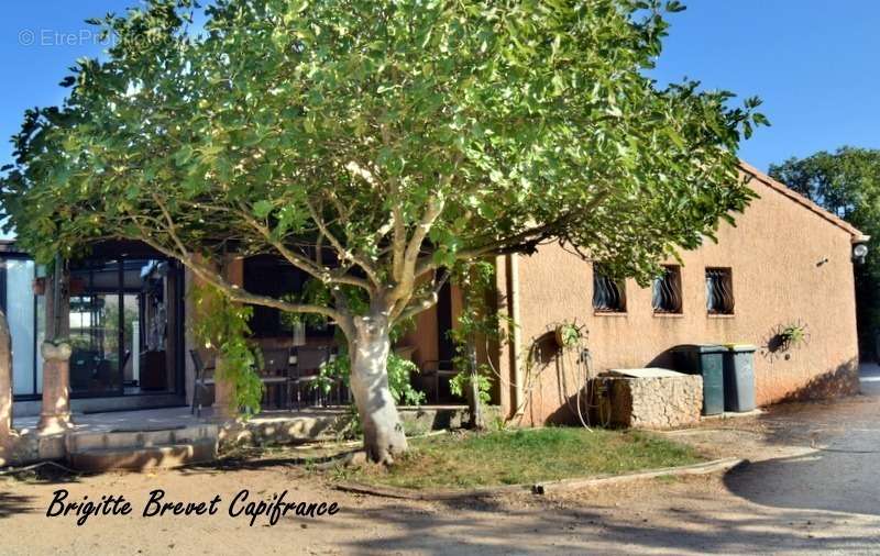 Maison à SAINT-MAXIMIN-LA-SAINTE-BAUME