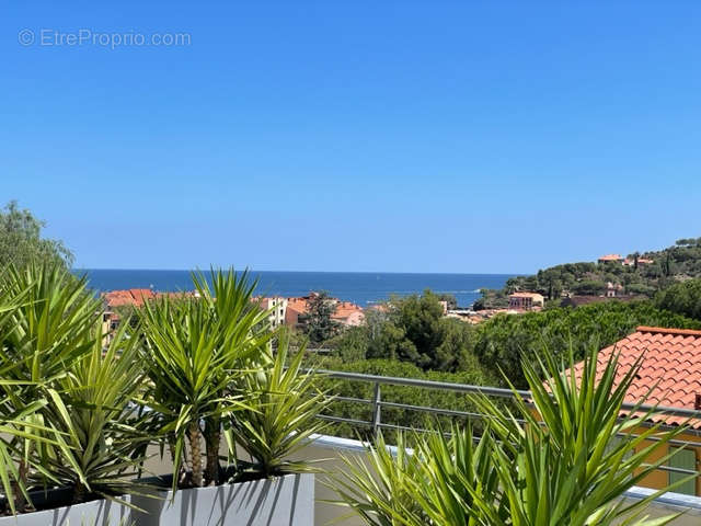 Appartement à COLLIOURE