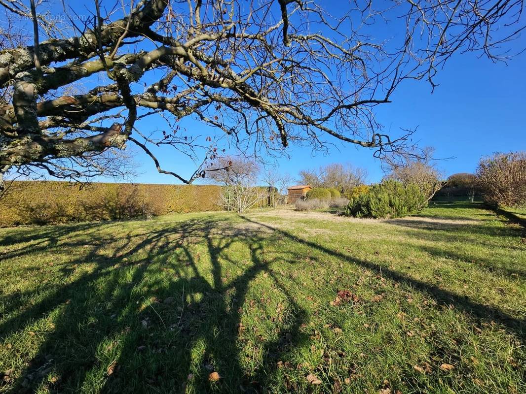 Terrain à SERPAIZE