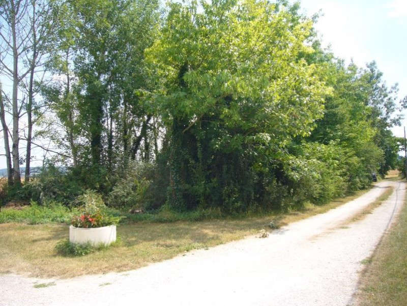 Terrain à VILLENEUVE-SUR-YONNE