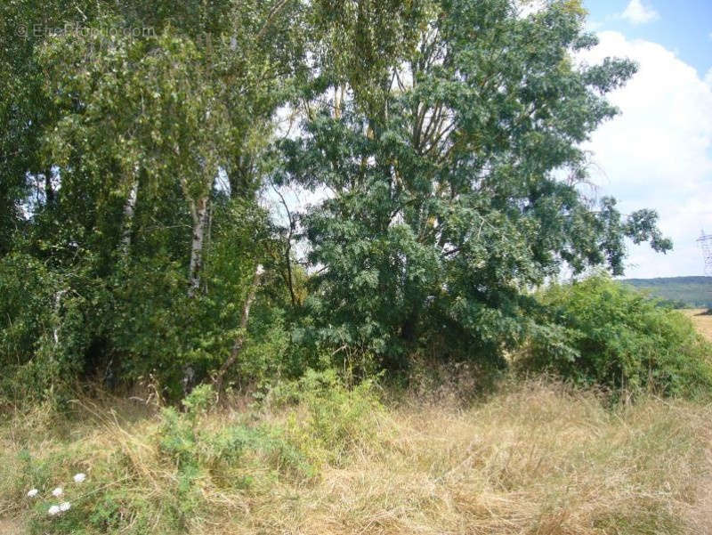 Terrain à VILLENEUVE-SUR-YONNE