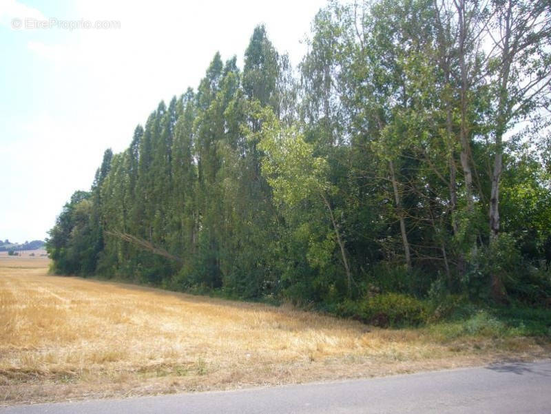 Terrain à VILLENEUVE-SUR-YONNE