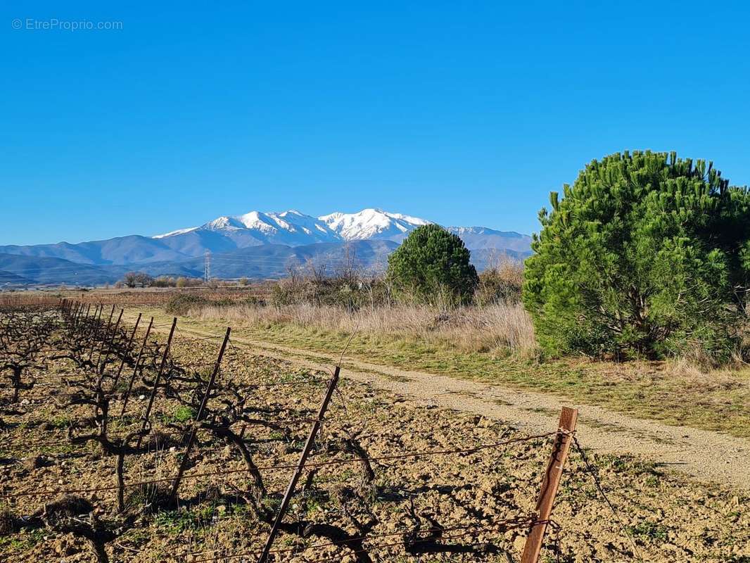 Terrain à TROUILLAS