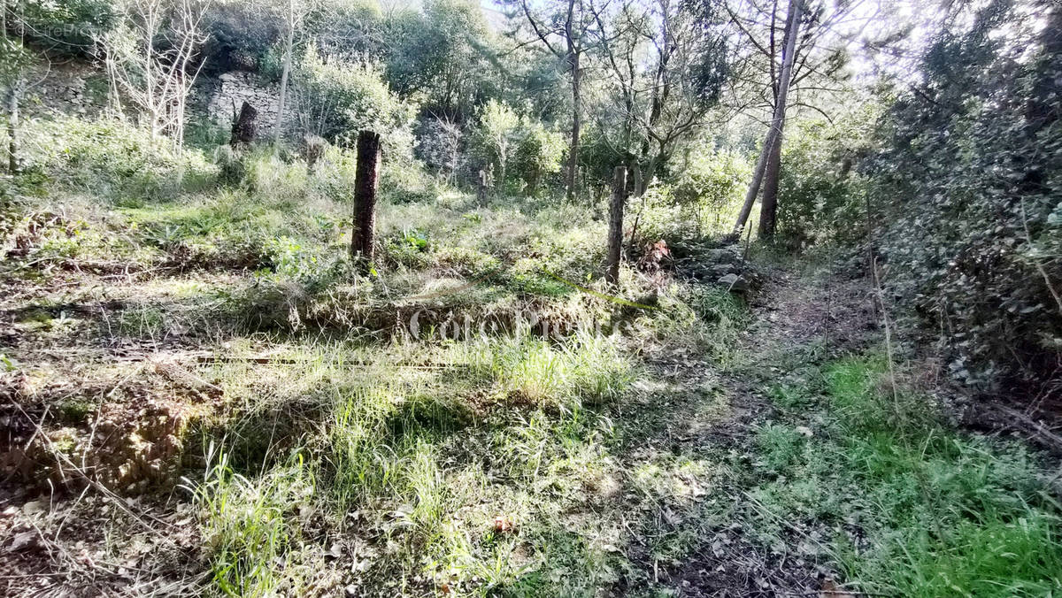 Terrain à NIMES