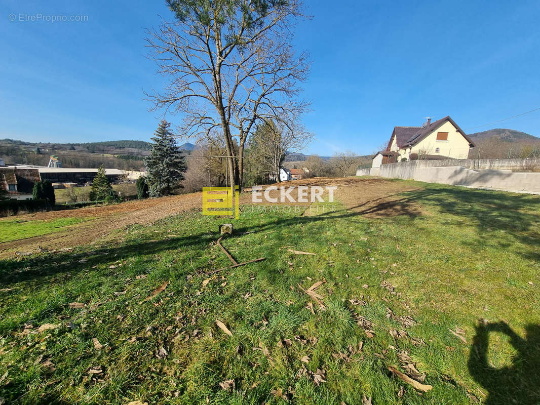 Terrain à OBERHASLACH