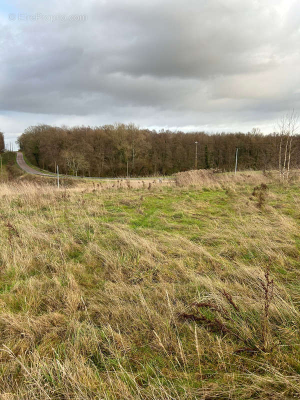 Terrain à GUERFAND