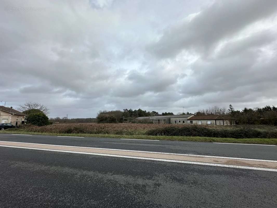 Terrain à SAINT-AUBIN-DE-BLAYE